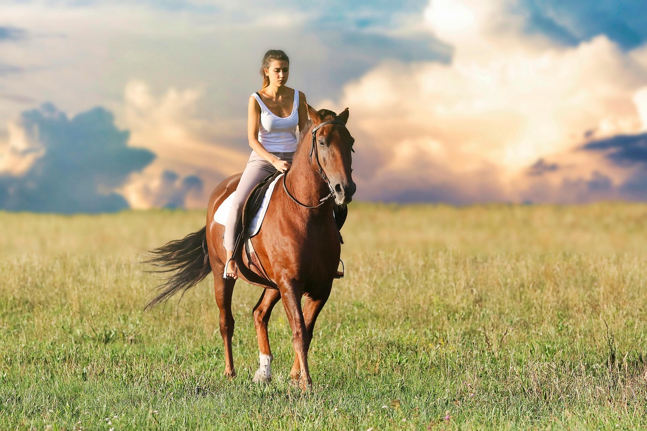  Image of a riding a horse in an open grassland
